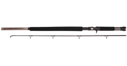 Shimano Exage Heavy 11FT Multiplier Rod Prices | Shop Deals Online |  PriceCheck