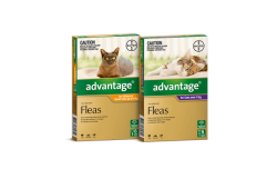 CAT Flea Treatment - Over 4KG