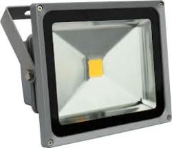 Led Floodlights: 30w 220v In Warm White. Collections Are Allowed