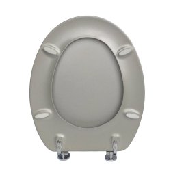 POP Molded Toilet Seat+zink Alloy Hingeslv
