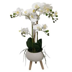 Faux White Orchid In Pot Sotran Dekorativ
