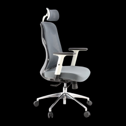 Wp Ergonomic Adjustable Office Chair - Grey