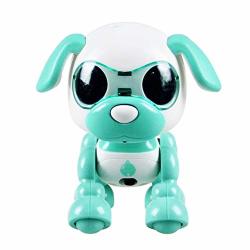 smart pet robot