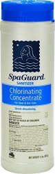 Spaguard Chlorine Concentrate 2 G344T3486G 34BG82G61508