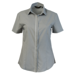 Ladies Essence Blouse Short Sleeve Blouse - S m l - Barron - New - 4 Colours