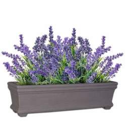 Planted Clermont Trough Sun - Lavender Pistachio