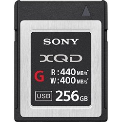 Sony Professional Xqd G Series 256GB Memory Card QDG256E J