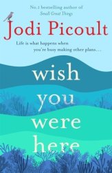 Wish You Were Here - Jodi Picoult Paperback
