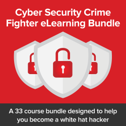 Africabuy Store: Cyber Security Crime Fighter Elearning