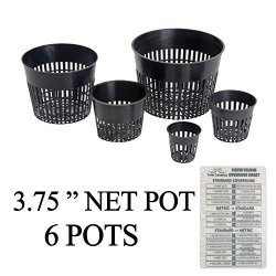 Hydroponic Net Cup Pots + Twin Canaries Chart - 3.75 Net Pot 6 Pots