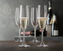 Winelovers Champagne Flute 4PC Glass Set 190ML
