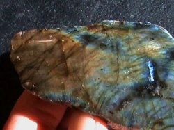 Flashy Labradorite . One Side Polished To Show Color Reflections.