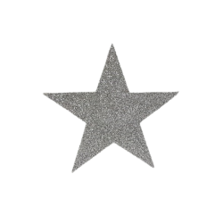 Polystyrene Silver Star - 15CM