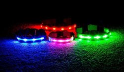 WAGZ4LIFE Easter Safety LED Dog Collar - Rechargeable - Water Resistant - Light Up Or Flashing High Visibility - Looks Awesome - Includes USB