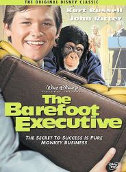 The Barefoot Executive DVD