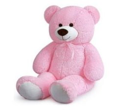 Inv Teddy Bear Soft Toy-pink