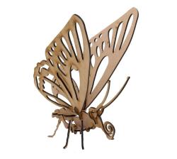 3D Wooden Model Insects Exotics Butterfly