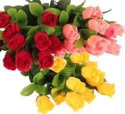 Bulk Pack 3 x 12 Roses in Assorted Colours