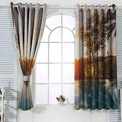 Vividx Blackout Window Curtain Hawaiian Home With Swimming Pool At Sunset Tropics Palms Private Villa Resort Scenic View W120X72L Inches Microfiber Polyester Orange Teal