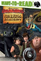 How To Start A Dragon Academy Paperback