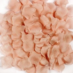 1000 Champagne Silk Rose Petals Use For Confetti aisle Decor photo Prop table Decor romantic Setting