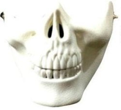 Special White-cs Mask Half-face Skull Skeleton Guard Protector Wargame Airsoft Paintball Gear