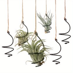 6PCS With 6 2-METER Long Hemp Ropes Aluminum Small Vortex Air Plant Stand Adjustable Length Air Pineapple Flower Pot Soilless Plant Hanging Decoration For Home