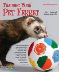 Training Your Pet Ferret