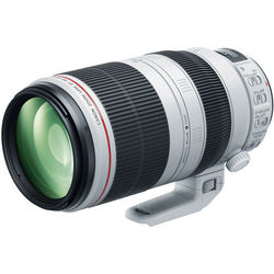 Canon EF 100 - 400 mm f 4.5 - 5.6 L USM Image Stabiliser