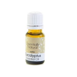 Eucalyptus Essential Oil Smithii - 500ML
