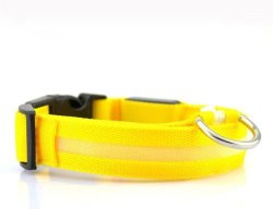 LED Dog Pet Collar Yellow Medium