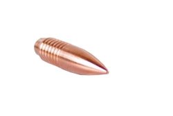 Balistix Rbt Target Bullets .30" 175GR 50