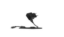 Sony Micro USB Rapid Travel Charger