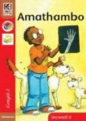 Kagiso Reader: Amathambo: Grade 2: Book 6