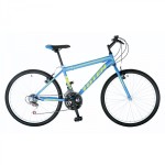 totem 24 inch mountain bike