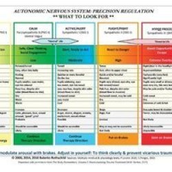 Autonomic Nervous System Table: Laminated Card