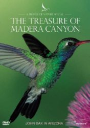 Treasure Of Madera Canyon DVD