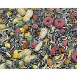 Seed Parrot Special Mix 1KG
