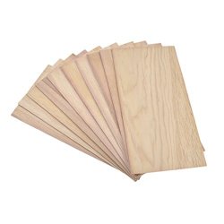 focal20 balsa