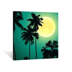 Canvas - Palm Trees