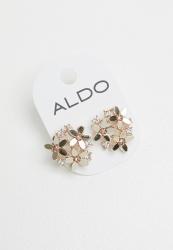 Aldo earrings clearance price