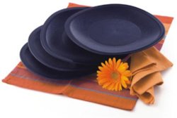 Tupperware Legacy Plates 4 Microwaveable -ideal For Braais Picnics Or Camping