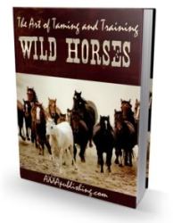 The Art Of Taming And Training Wild Horses - Ebook