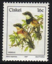 Ciskei - 1987 Birds 16c Additional Value Sacc 114