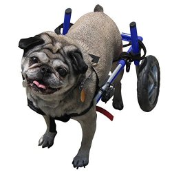 Walkin' Wheels Dog Wheelchair - For Small Dogs 18-25 Lbs - Veterinarian Approved - Wheelchair For Back Legs