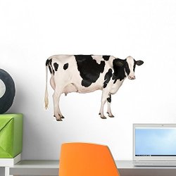 Holstein Cow Wall Mural By Wallmonkeys Peel And Stick Graphic 18 In W X 12 In H WM321691