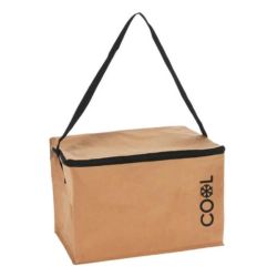 Insulated Cooler Bag - 13L