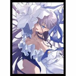 COMIC?1 16 Fate Grand Order Mysterious Alter Ego ? Meltryllis Swimsuit  Lancer Doujin Card Game Character Sleeves Collection Anime Girls Art Prices  | Shop Deals Online | PriceCheck
