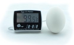 Egg-o-meter - A Better Egg Thermometer