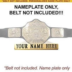 Personalized Nameplate For Adult Wwe World Heavyweight Championship Replica Belt
